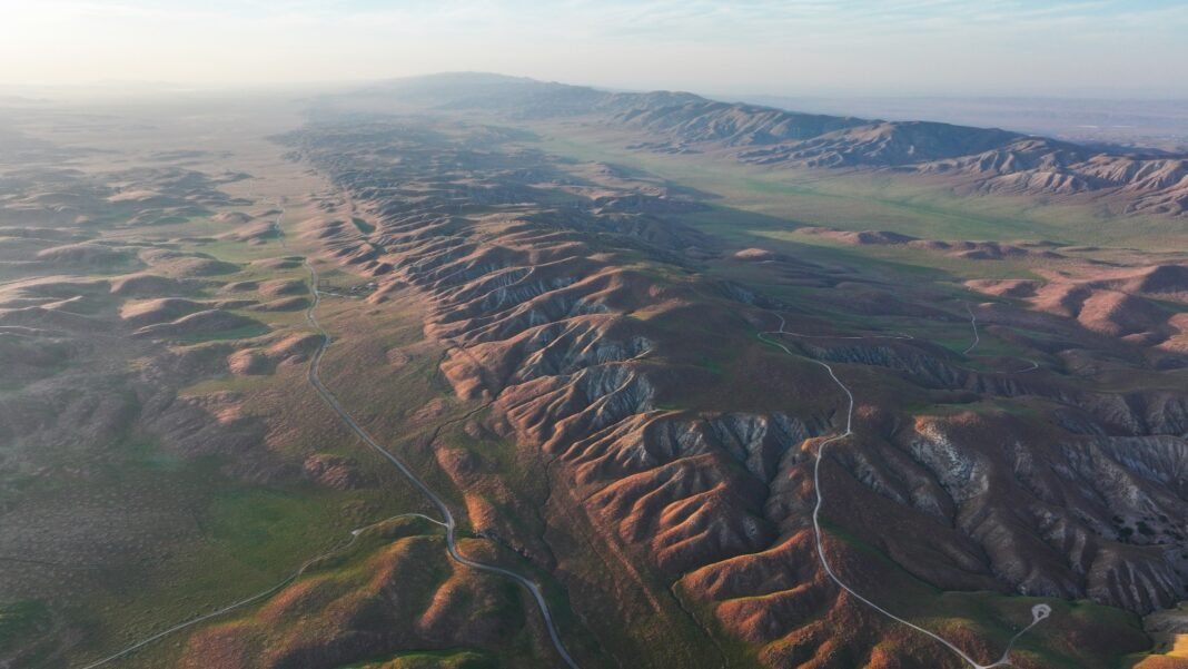 the-ramifications-of-record-shattering-heat-on-the-west’s-ecosystems