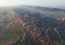 the-ramifications-of-record-shattering-heat-on-the-west’s-ecosystems