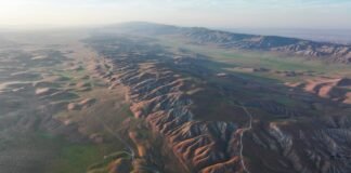the-ramifications-of-record-shattering-heat-on-the-west’s-ecosystems