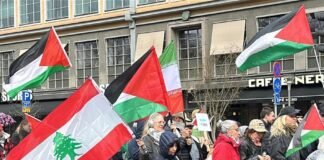 stockholm-protesters-rally-against-israeli-strikes-on-gaza,-lebanon,-and-iran