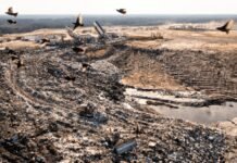 Rural North Carolina fights back against PFAS contamination rural-north-carolina-fights-back-against-pfas-contamination