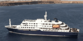 argentina-investigates-possible-source-of-hantavirus-outbreak-aboard-cruise-ship