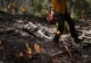 how-controlled-burns-can-help-save-taxpayers-billions