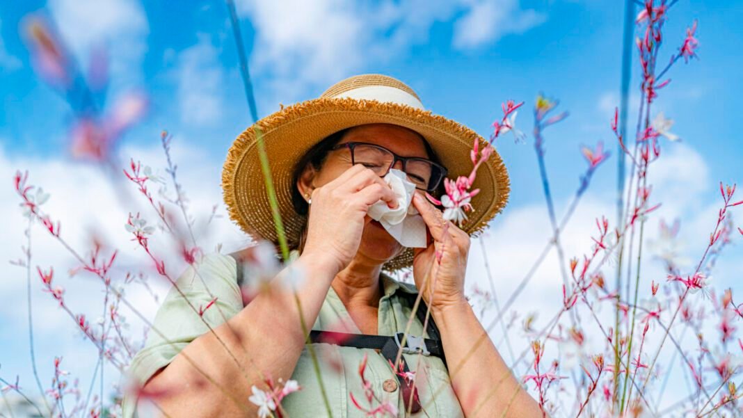how-climate-change-makes-your-allergies-worse