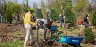 the-solution-to-urban-heat-is-much,-much-simpler-than-you-think