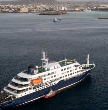 the-unprecedented-and-deadly-cruise-ship-hantavirus-outbreak,-explained