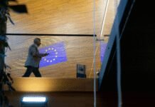 MEPs advance overhaul of social security coordination system meps-advance-overhaul-of-social-security-coordination-system