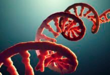 do-you-take-after-your-dad’s-rna?