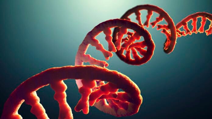 do-you-take-after-your-dad’s-rna?