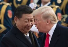 trump-xi-summit-to-show-that-everything-now-is-leverage