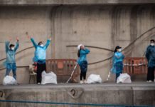how-climate-change-could-help-hantavirus-find-more-hosts