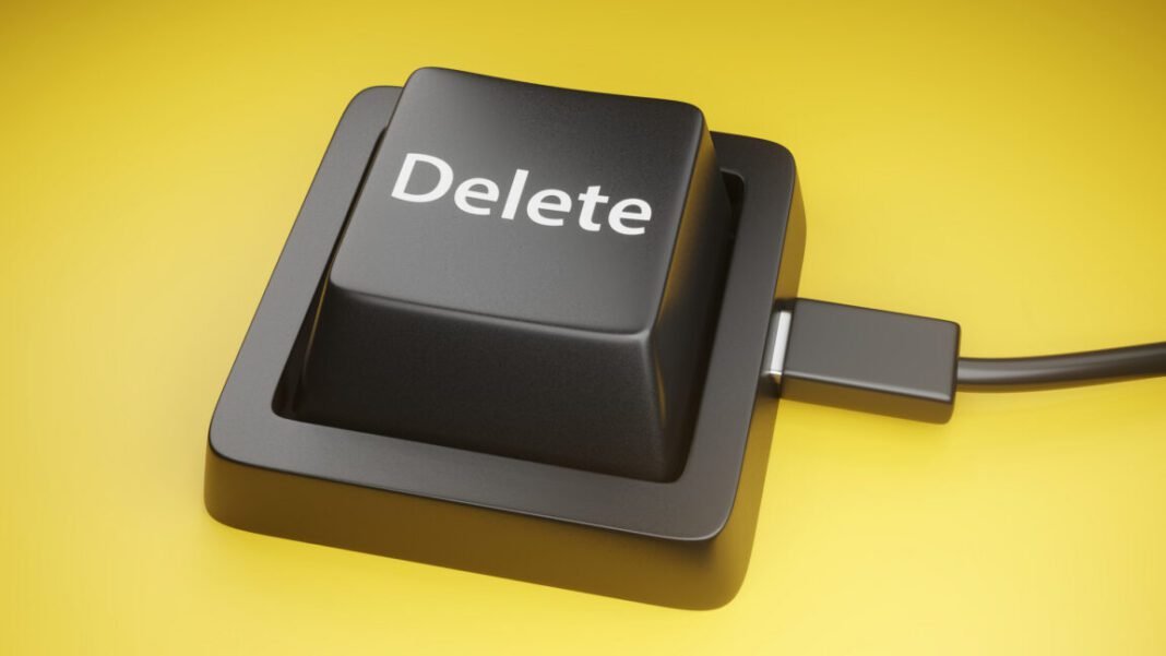 twin-brothers-wipe-96-gov’t-databases-minutes-after-being-fired