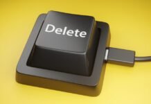 twin-brothers-wipe-96-gov’t-databases-minutes-after-being-fired