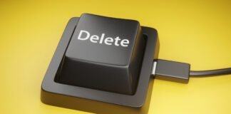 twin-brothers-wipe-96-gov’t-databases-minutes-after-being-fired