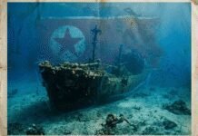 inquiry-finds-russian-cargo-ship-carried-suspected-nuclear-reactor-components-for-pyongyang