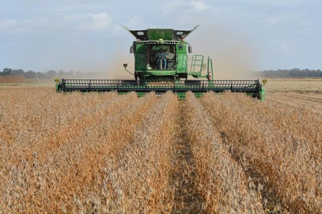 soybeans-on-beijing-agenda-but-us-farmers-should-temper-optimism