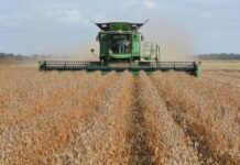 soybeans-on-beijing-agenda-but-us-farmers-should-temper-optimism
