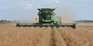 soybeans-on-beijing-agenda-but-us-farmers-should-temper-optimism