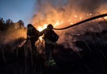 forecasters-predict-wildfires,-floods,-severe-heatwaves-from-incoming-el-nino