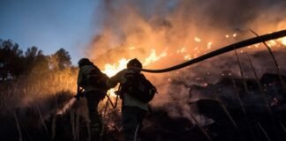 forecasters-predict-wildfires,-floods,-severe-heatwaves-from-incoming-el-nino