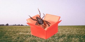 as-tick-bites-surge,-conspiracy-theories-follow