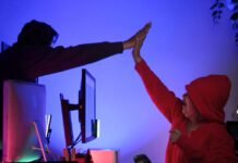 fired-hacker-twins-forget-to-end-teams-recording,-capture-own-crimes