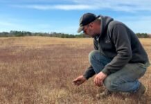 wild-blueberry-farms-across-maine-suffer-as-climate-change-upends-growing-seasons