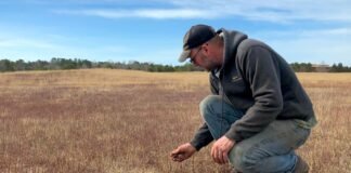 wild-blueberry-farms-across-maine-suffer-as-climate-change-upends-growing-seasons