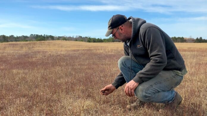 wild-blueberry-farms-across-maine-suffer-as-climate-change-upends-growing-seasons