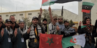 international-aid-convoy-departs-libya-bound-for-gaza-through-rafah-crossing 