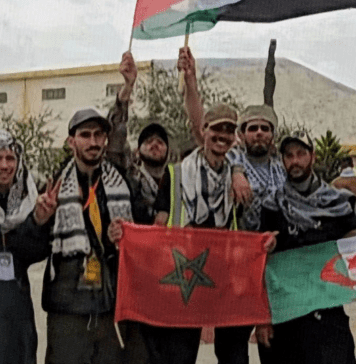international-aid-convoy-departs-libya-bound-for-gaza-through-rafah-crossing 