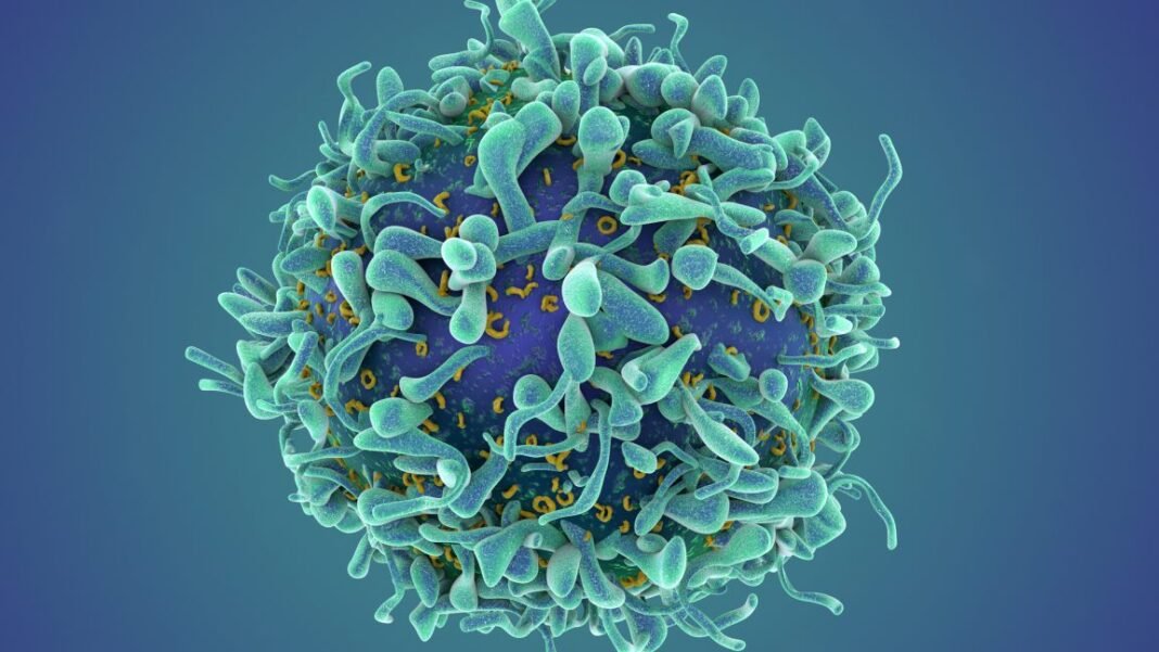 a-revolutionary-cancer-treatment-could-transform-autoimmune-disease