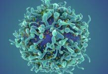 a-revolutionary-cancer-treatment-could-transform-autoimmune-disease
