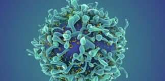 a-revolutionary-cancer-treatment-could-transform-autoimmune-disease