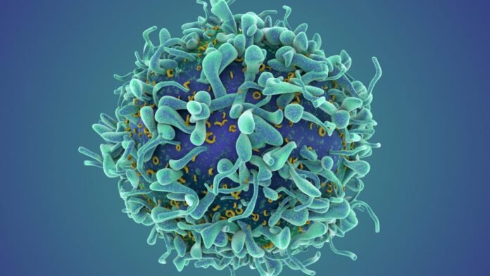 a-revolutionary-cancer-treatment-could-transform-autoimmune-disease
