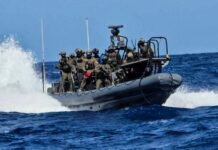 irish-president’s-sister-among-gaza-flotilla-activists-detained-by-israel:-reports