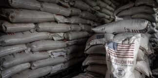 trump-gutted-usaid-hunger-and-violence-followed.