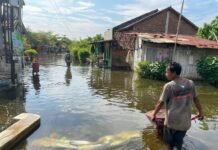 Indonesia says its giant sea wall will stop flooding indonesia-says-its-giant-sea-wall-will-stop-flooding