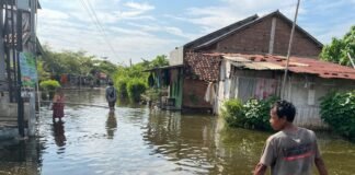 indonesia-says-its-giant-sea-wall-will-stop-flooding