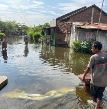 indonesia-says-its-giant-sea-wall-will-stop-flooding