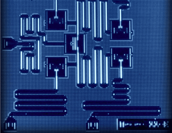 us-government-takes-$2-billion-equity-stake-in-nine-quantum-computing-firms us-government-takes-$2-billion-equity-stake-in-nine-quantum-computing-firms