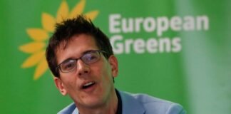greens-chief-bas-eickhout-quits-eu-parliament