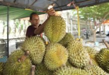 compliance-wall:-china-rewriting-world’s-agriculture-trade-rules