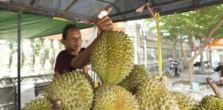 compliance-wall:-china-rewriting-world’s-agriculture-trade-rules