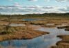 The bogs of war: landscapes play a huge part in conflict – and restoring them can strengthen security the-bogs-of-war:-landscapes-play-a-huge-part-in-conflict-–-and-restoring-them-can-strengthen-security