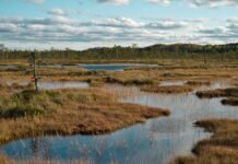 the-bogs-of-war:-landscapes-play-a-huge-part-in-conflict-–-and-restoring-them-can-strengthen-security