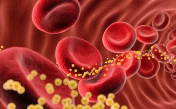 Bad cholesterol slashed 62% by single dose of gene-editing drug in small trial bad-cholesterol-slashed-62%-by-single-dose-of-gene-editing-drug-in-small-trial