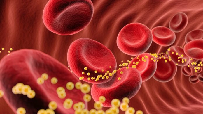 bad-cholesterol-slashed-62%-by-single-dose-of-gene-editing-drug-in-small-trial