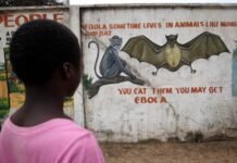 who-says-906-suspected-cases-and-223-suspected-deaths-from-bundibugyo-strain-of-ebola