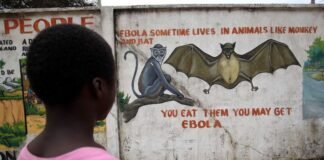 who-says-906-suspected-cases-and-223-suspected-deaths-from-bundibugyo-strain-of-ebola